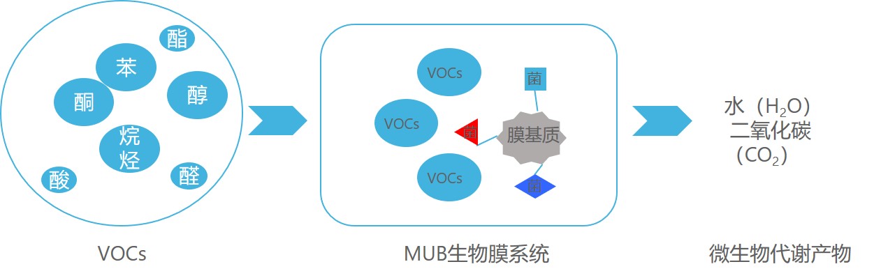 MUB废气治理技术原理